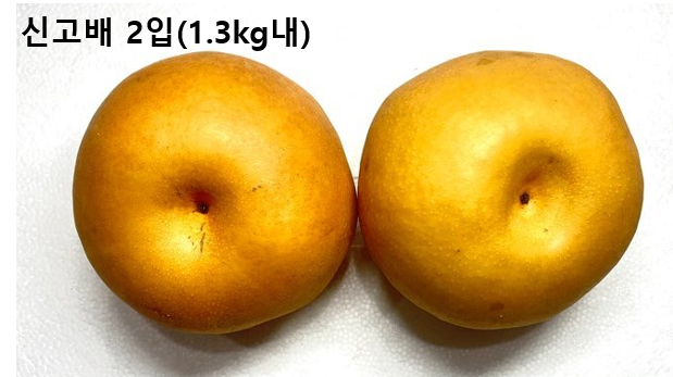 이미지4